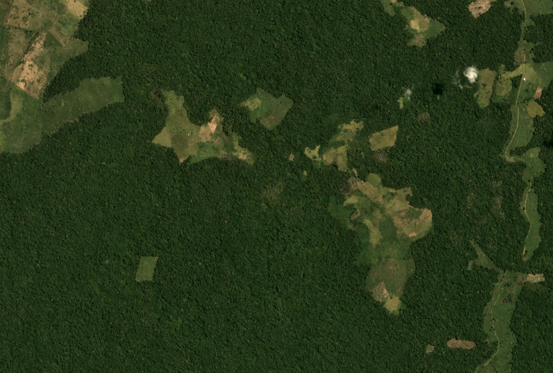 Sentinel-2 and PlanetScope imageries for Deforestation Detection